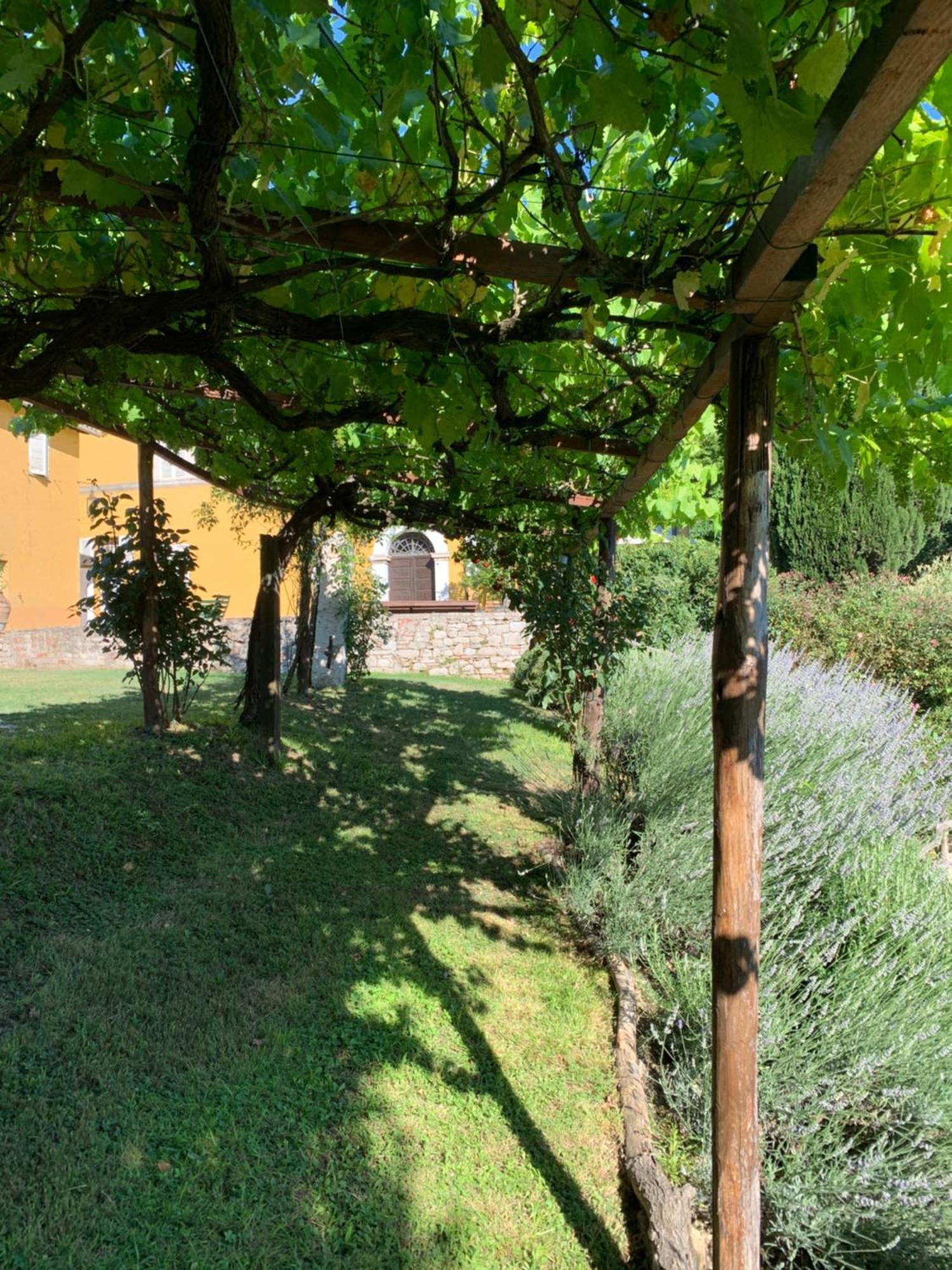 Il Broglino Villa โตดี ภายนอก รูปภาพ